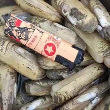 海鲜贝类批发质量保证
