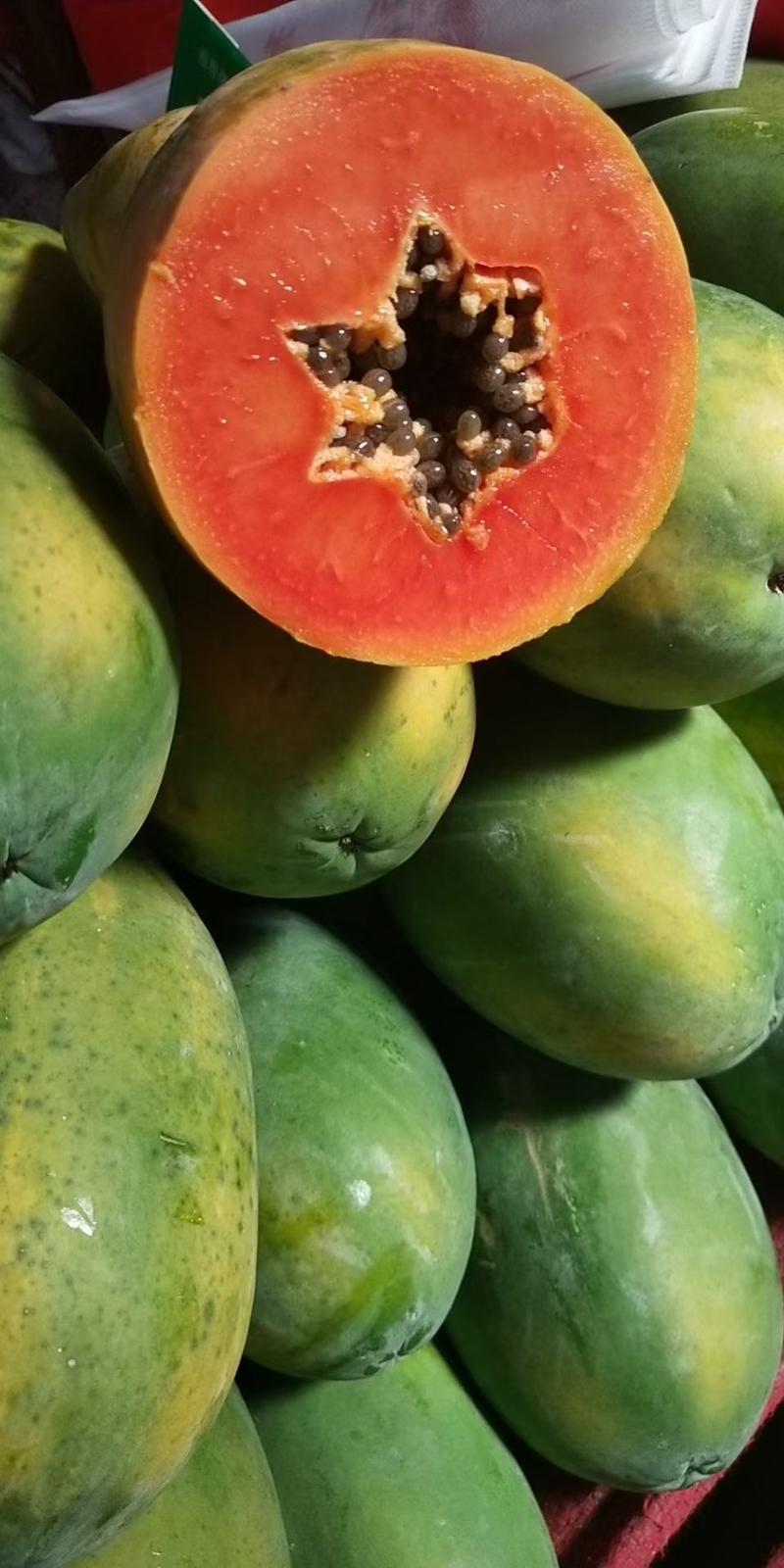 海南水果木瓜大青稳定供应！！！！！！！！