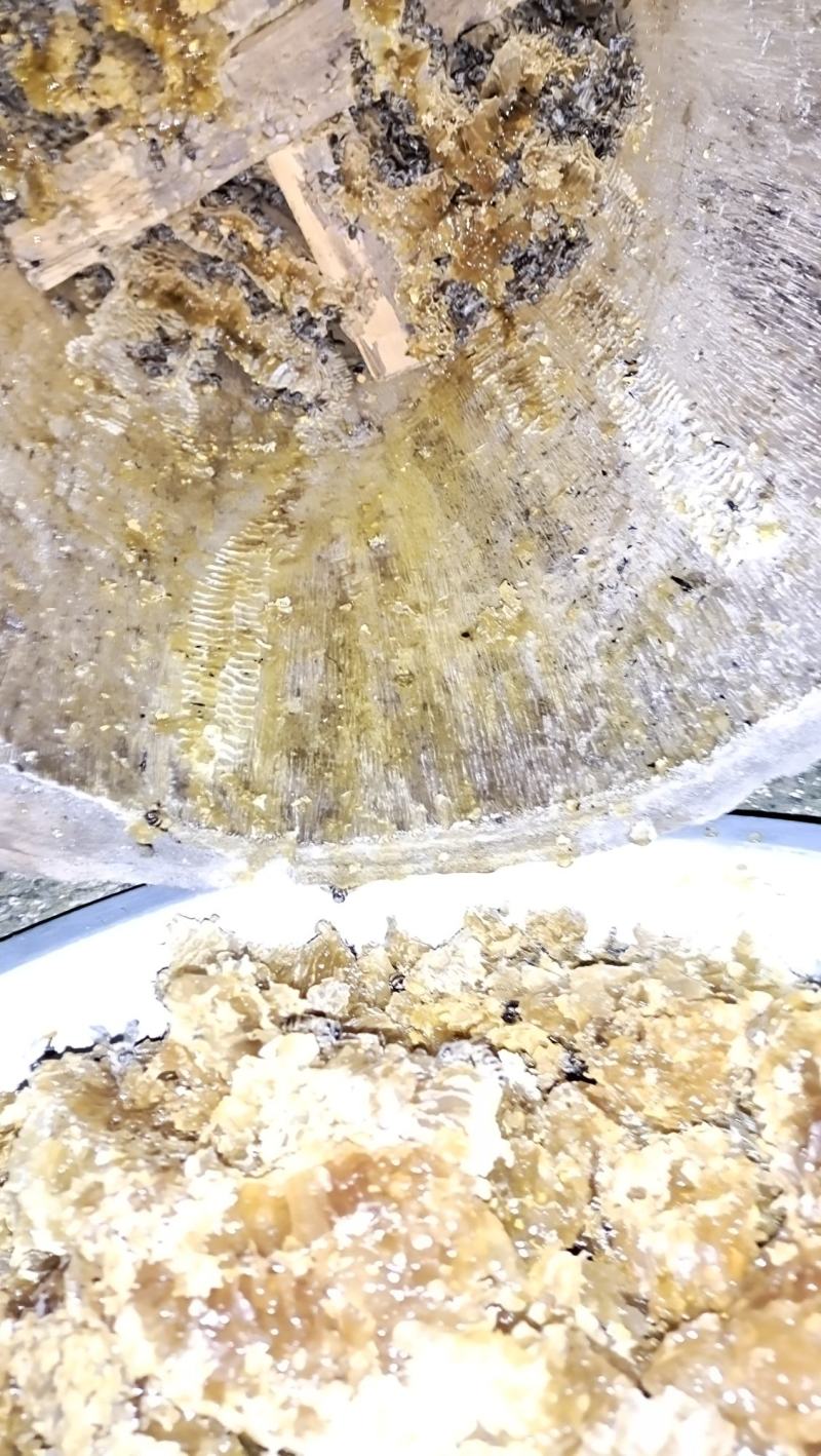 原生态土蜂蜜，原自贵州大山深处，生态好，蜜源足，产好蜜…