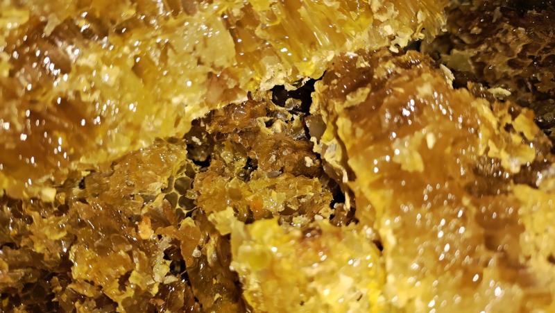 原生态土蜂蜜，原自贵州大山深处，生态好，蜜源足，产好蜜…