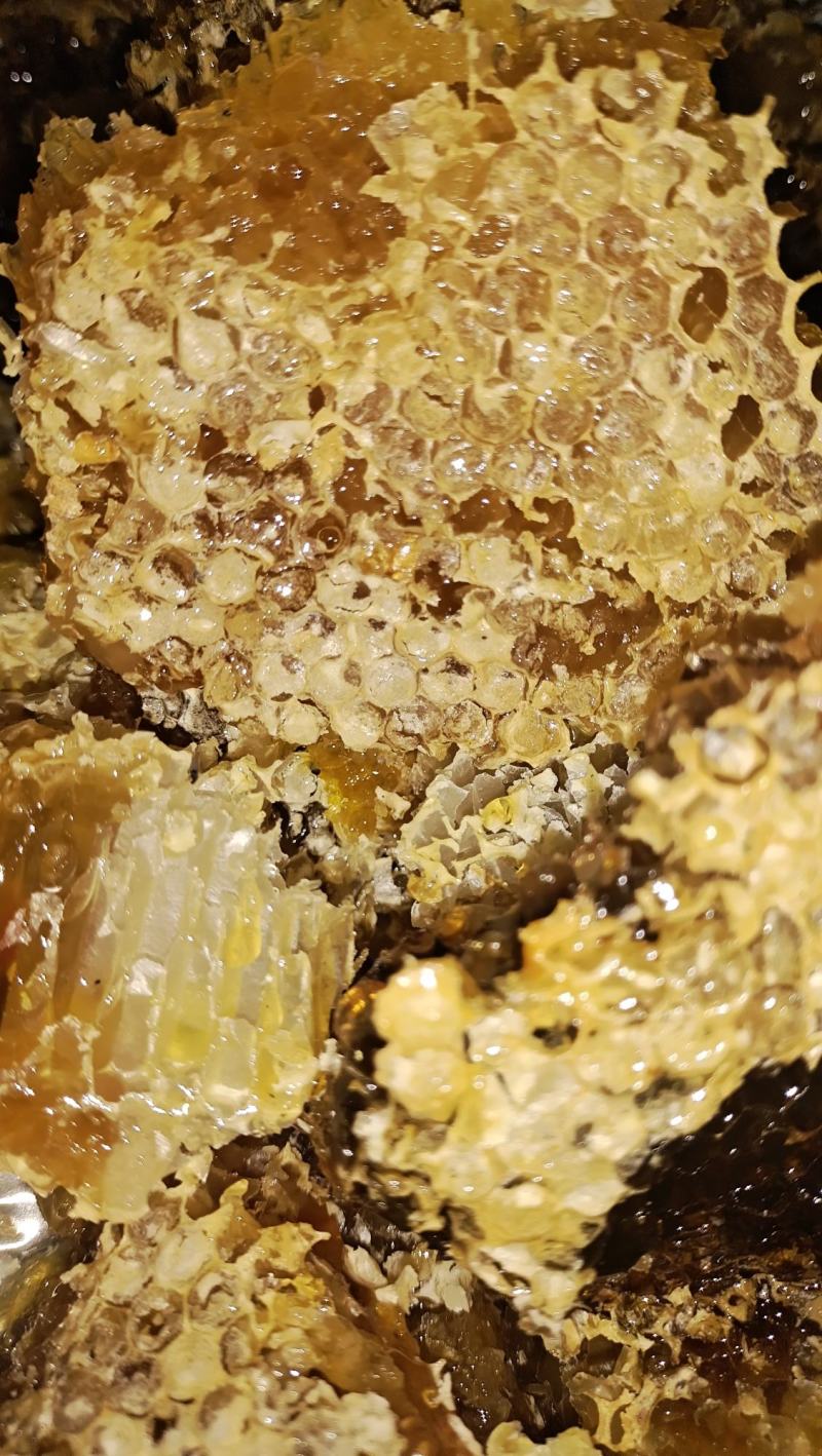 原生态土蜂蜜，原自贵州大山深处，生态好，蜜源足，产好蜜…