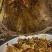 原生态土蜂蜜，原自贵州大山深处，生态好，蜜源足，产好蜜…