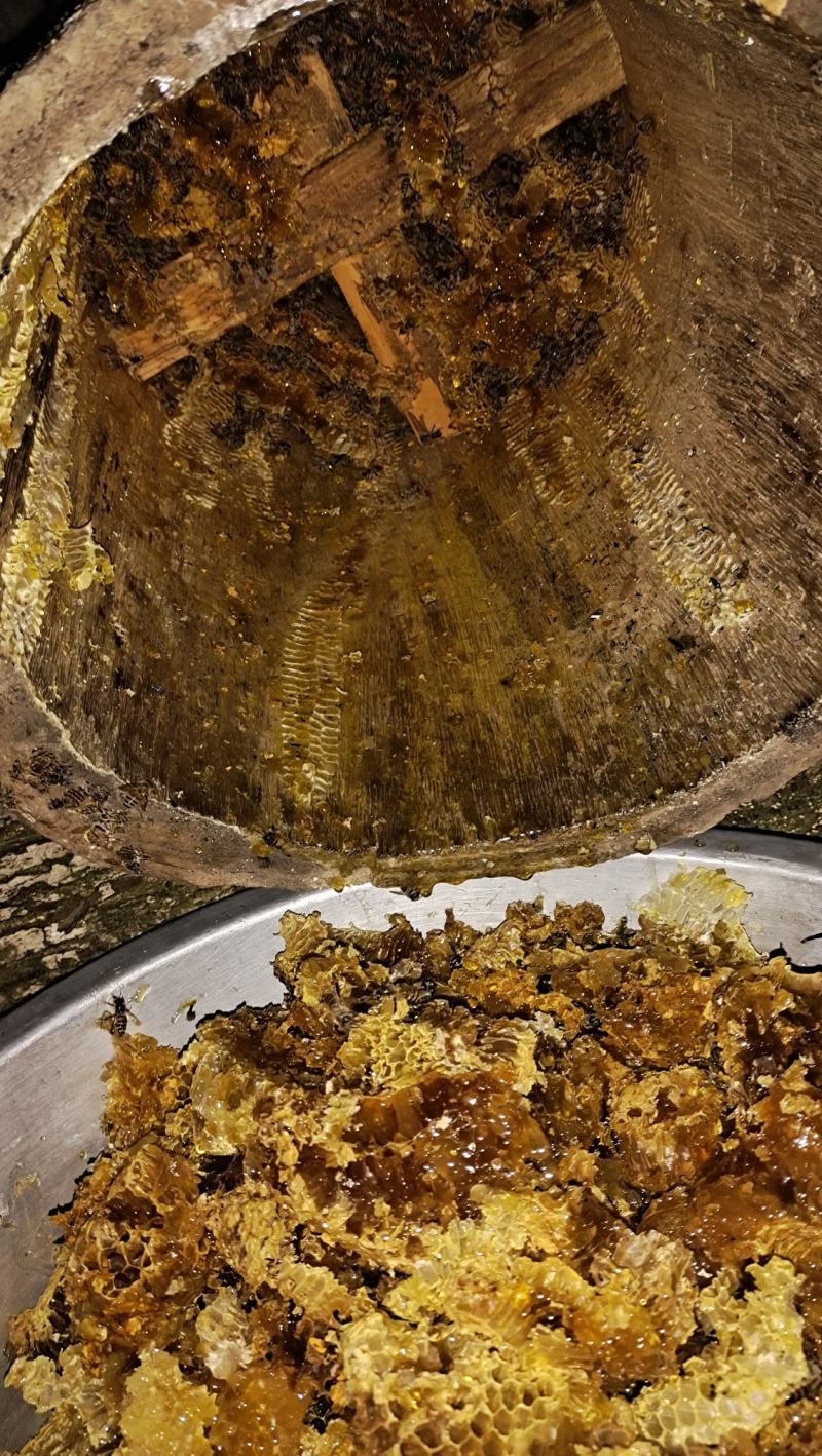 原生态土蜂蜜，原自贵州大山深处，生态好，蜜源足，产好蜜…