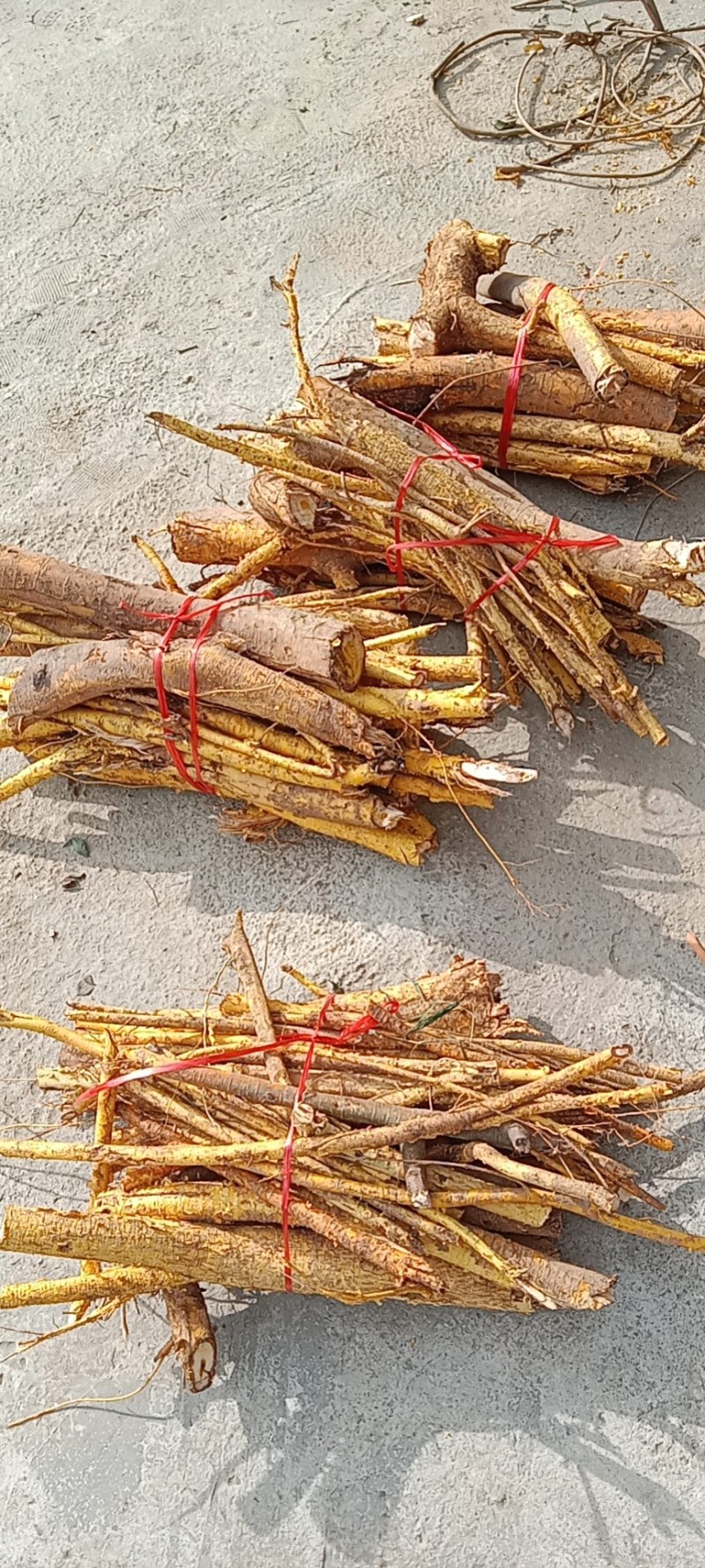 穿破石纯根鲜货
