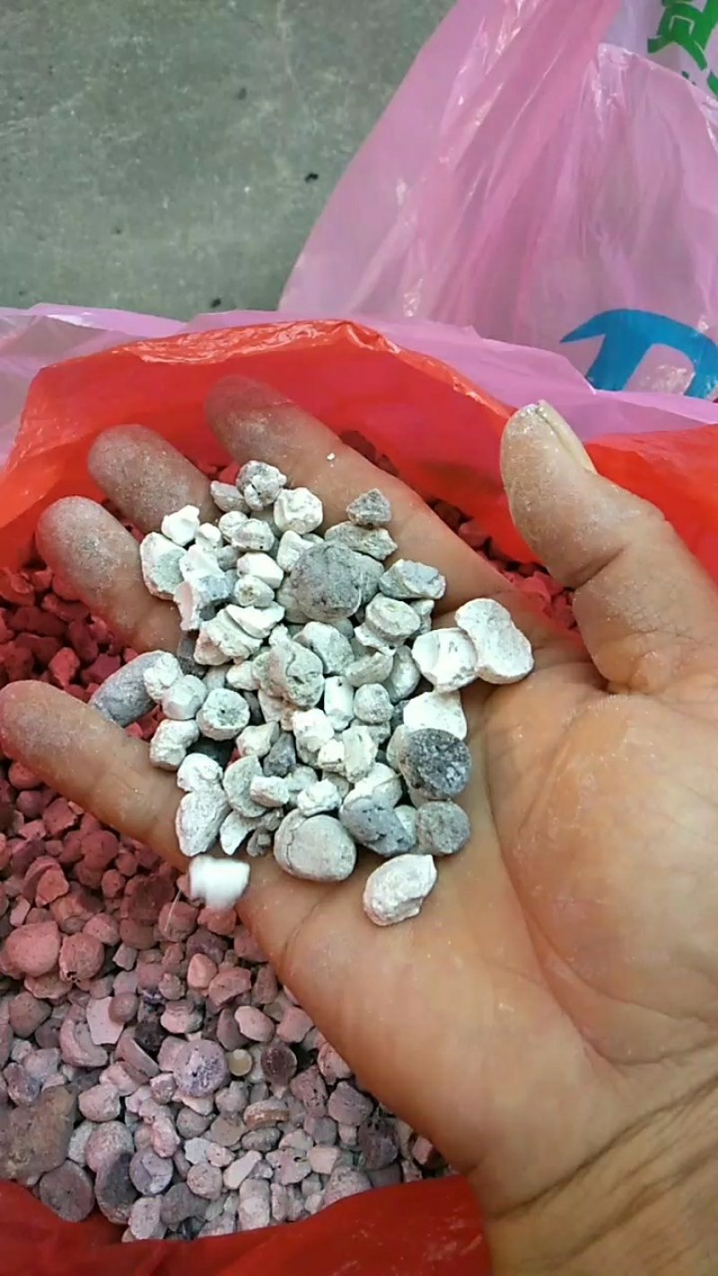 天然竹黄无杂质品质好价格低货源充足，欢迎选购
