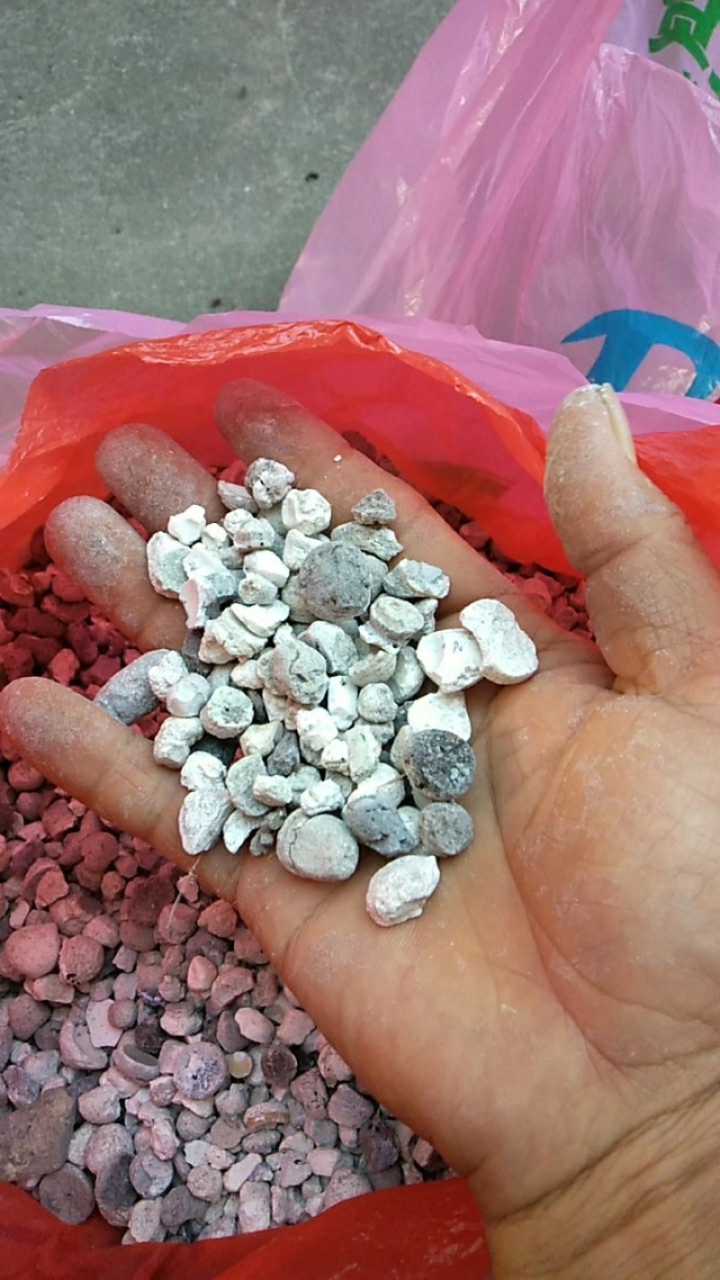 天然竹黄无杂质品质好价格低货源充足，欢迎选购