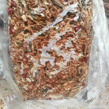 鸡肠