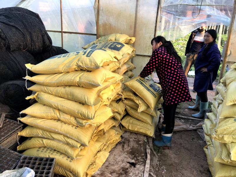 粗纤维育苗基质营养土烟草辣椒蔬菜中药材专用