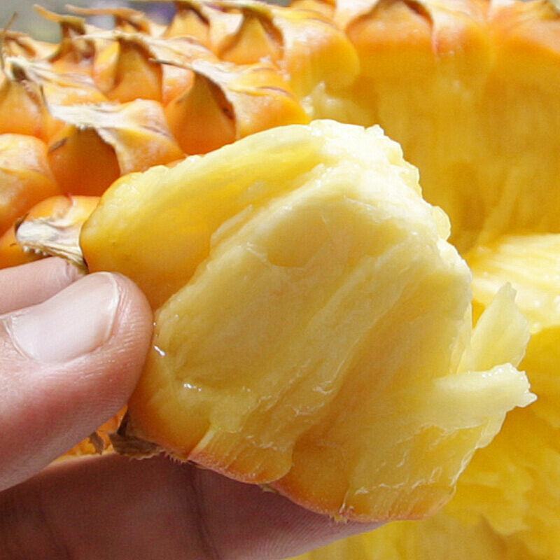 金钻凤梨新鲜水果供应链一件代发全国包邮