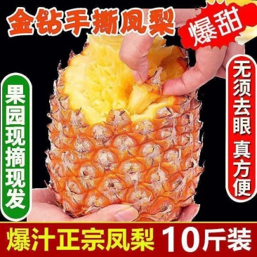 金钻凤梨新鲜水果供应链一件代发全国包邮