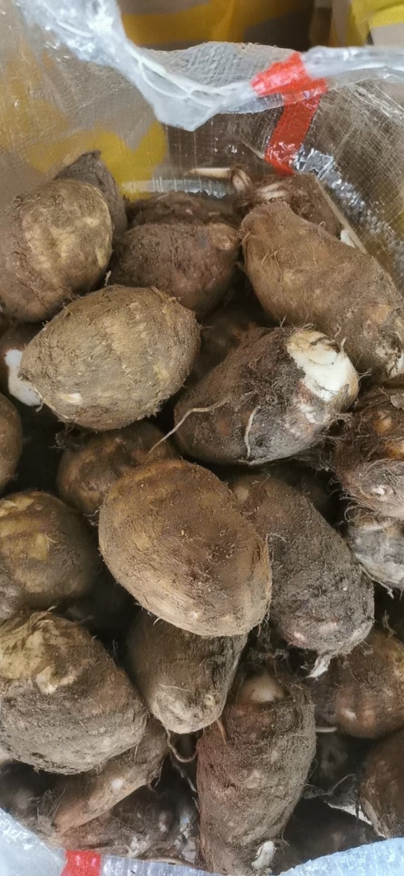 芋头山东省临沂市沂水县优质8520豆包芋头大量供应