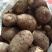芋头山东省临沂市沂水县优质8520豆包芋头大量供应