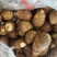 芋头山东省临沂市沂水县优质8520豆包芋头大量供应