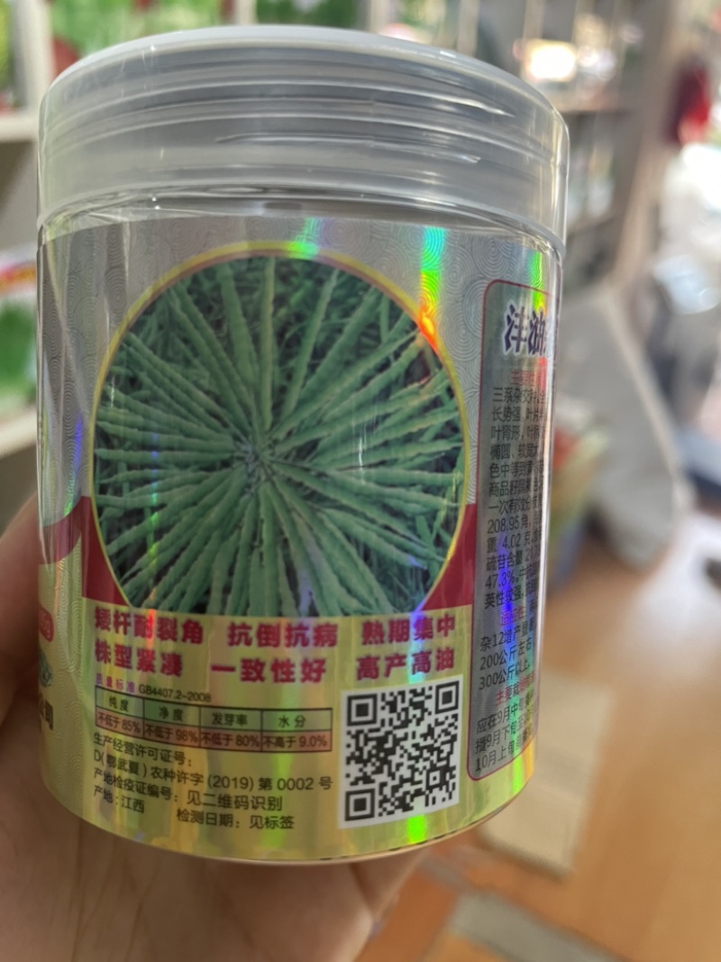 矮杆高产油菜种子沣油杂776杂交油菜籽抗倒抗病高油