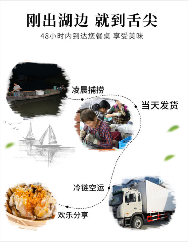 【蟹卡】洪泽湖大闸蟹超值特惠蟹卡支持一件代发