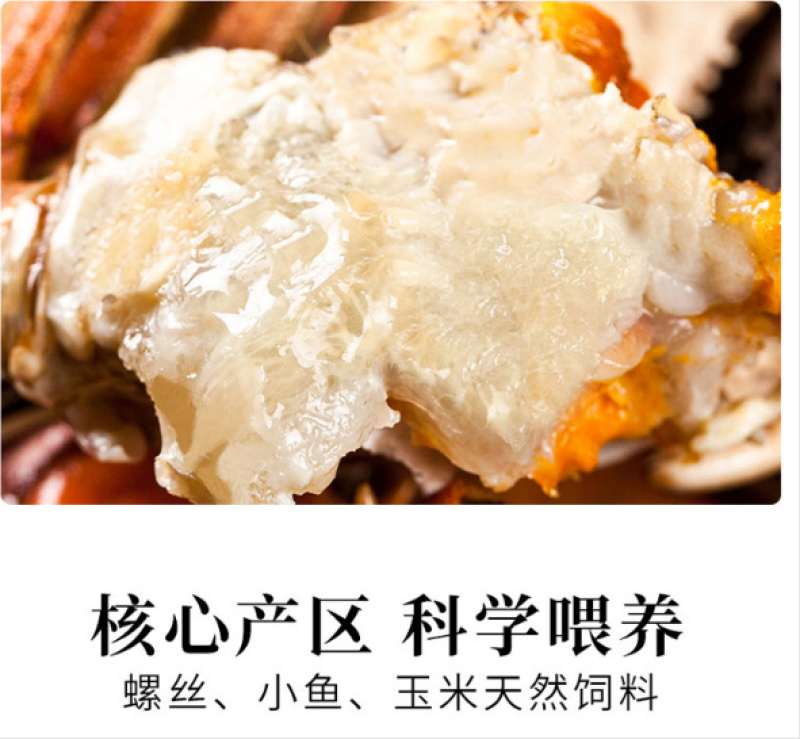 【蟹卡】洪泽湖大闸蟹超值特惠蟹卡支持一件代发