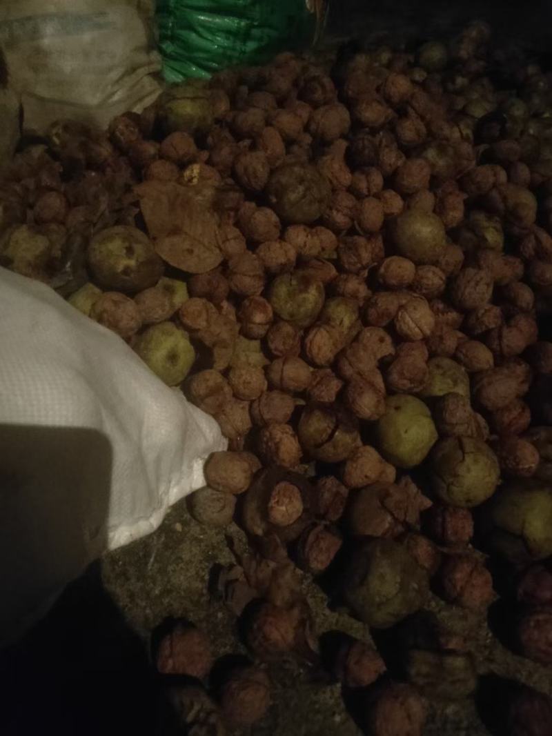 古树核桃云南核桃皮薄果仁饱满新鲜核桃（送开果器）