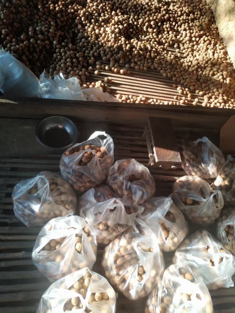 古树核桃云南核桃皮薄果仁饱满新鲜核桃（送开果器）