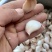 精品大蒜种子紫皮大蒜种抗病抗旱高产欢迎致电