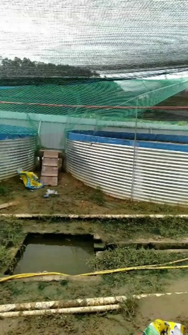 镀锌板帆布池。大型养殖帆布池改造养殖镀锌板帆布池