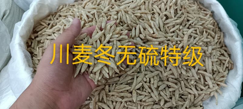 川麦冬无硫低硫人工挑选无杂质，产地批发，常年供货