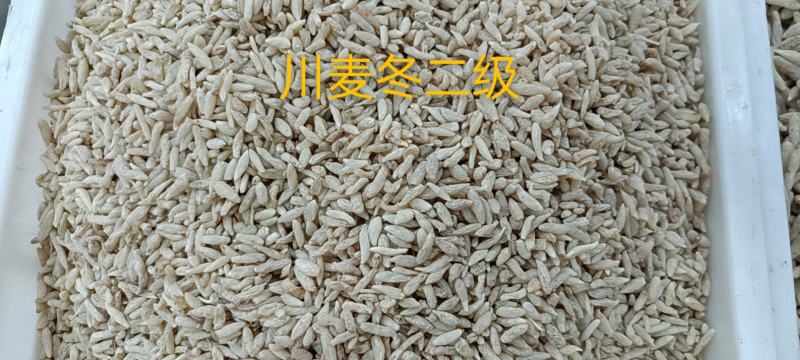 川麦冬无硫低硫人工挑选无杂质，产地批发，常年供货