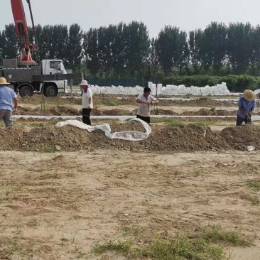 暖棚，种植棚冷棚，材料支持各种验收测量！有安装队