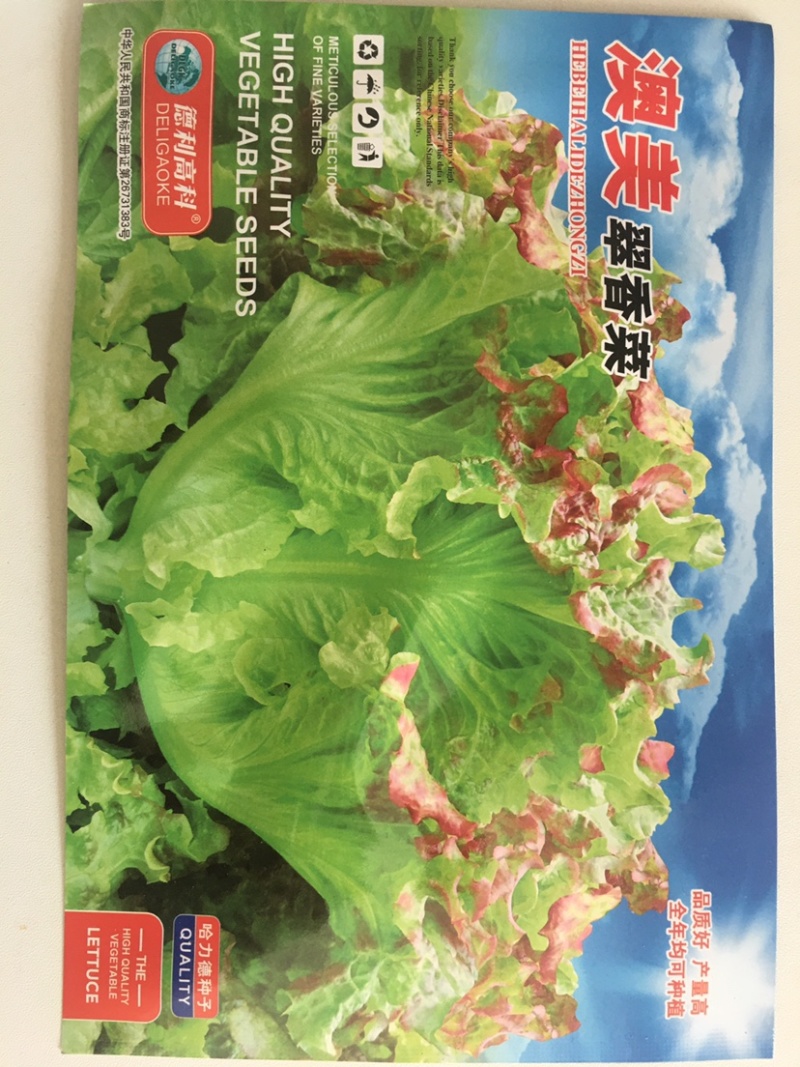 澳美翠生菜紫叶红头生菜全年均可种植蔬菜新品种