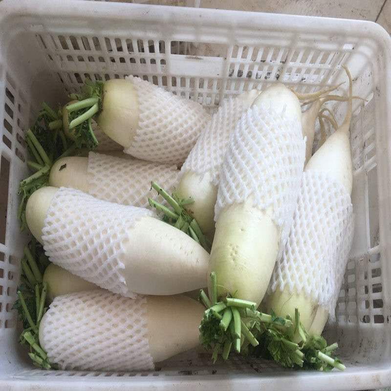 白萝卜产地直销，看货论价，保质保量，欢迎订购