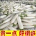 白萝卜产地直销，看货论价，保质保量，欢迎订购