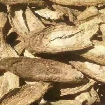 野生葛根