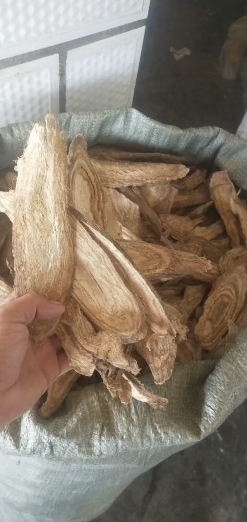 野生葛根
