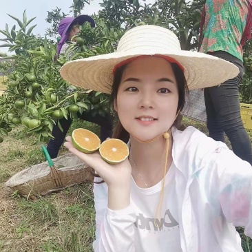 蜜橘湖北宜昌特早蜜桔产地直销看货论价保质保量欢迎订购
