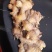 云南精品中黄姜山东2号保质保量货量大