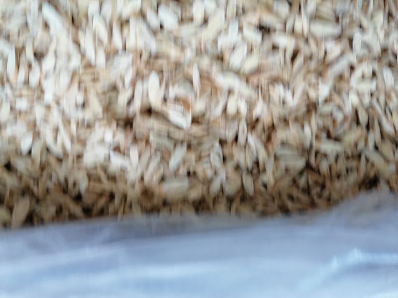 甘肃黄芪切片，新鲜干净，冻库冷冻一手货源，专业批发