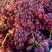 【推荐】精品红提葡萄大量上市颗粒大品质好，欢迎客户联系