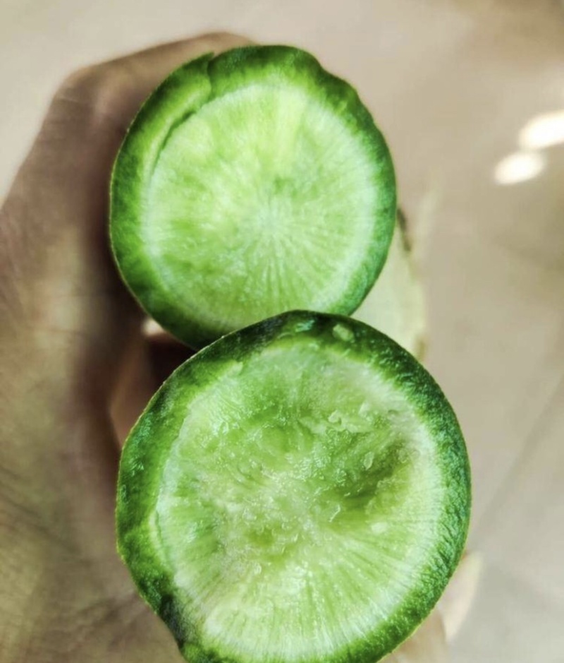 原生态种植有机沙窝水果萝卜脆甜爽口支持全国发货