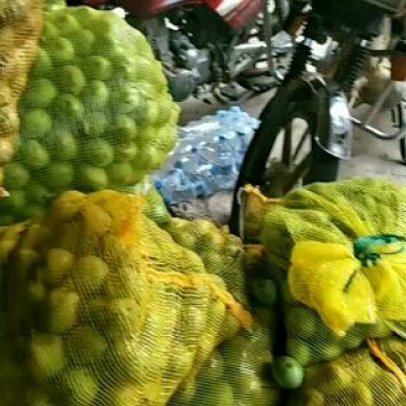 青皮核桃