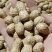 花生产地供货，颗粒保满，质量保证全国发货，量大从优