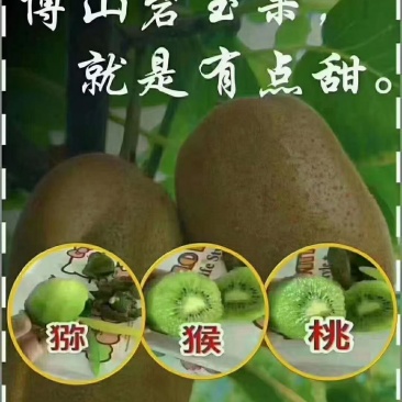 老农民猕猴桃
