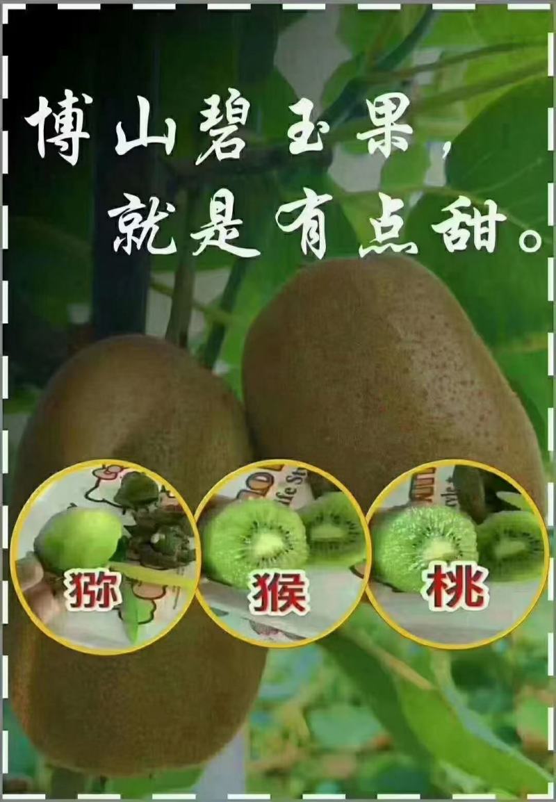 老农民猕猴桃