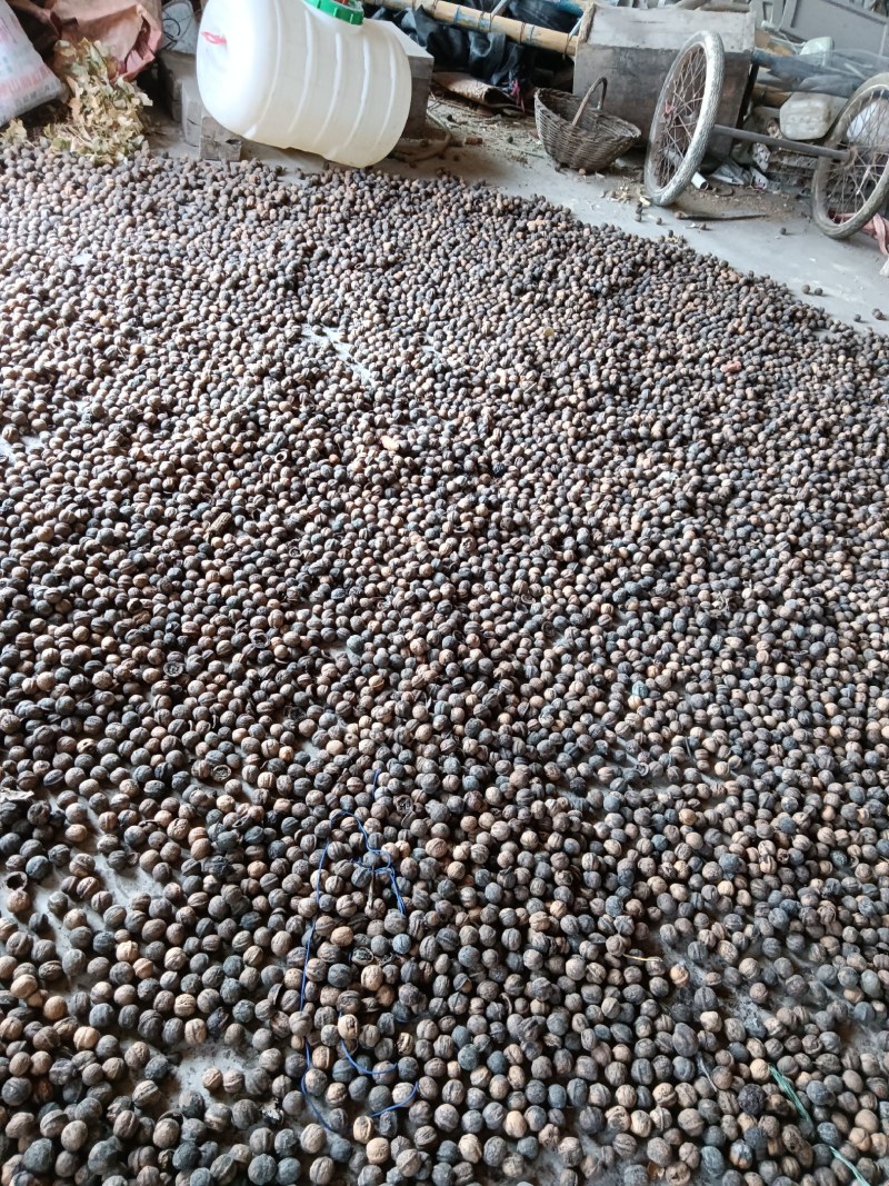 核桃
