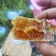 野生土蜂蜜，一年只取一次，或者两年取一次