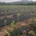 防草布生产厂家防草地布农用园艺地布透水透气抗暴晒