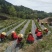 防草布生产厂家防草地布农用园艺地布透水透气抗暴晒