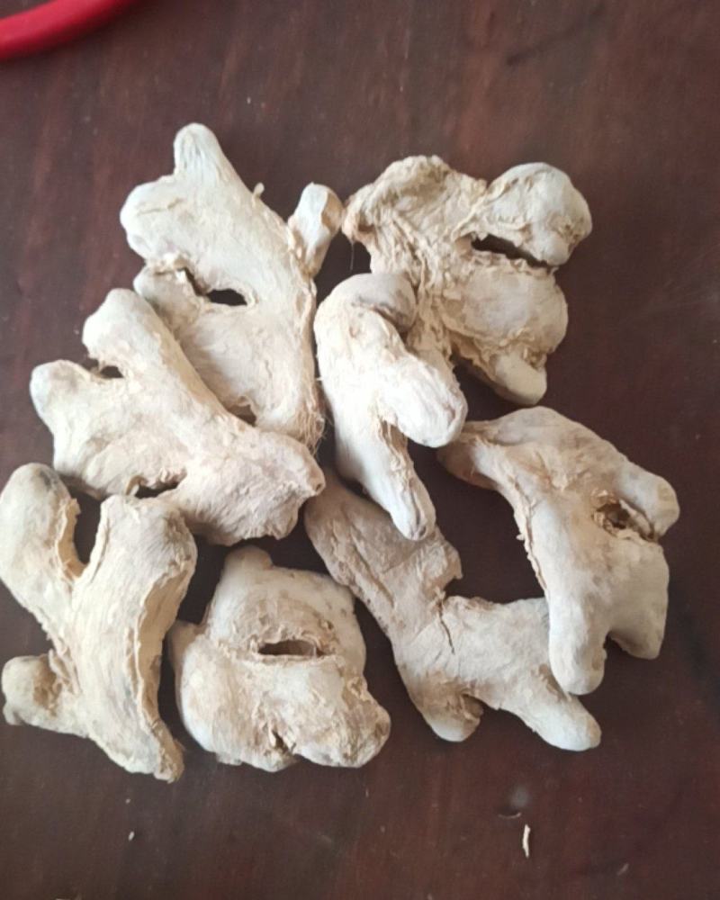 干姜云南小黄姜干姜个干姜片中药材批发干姜量大从优