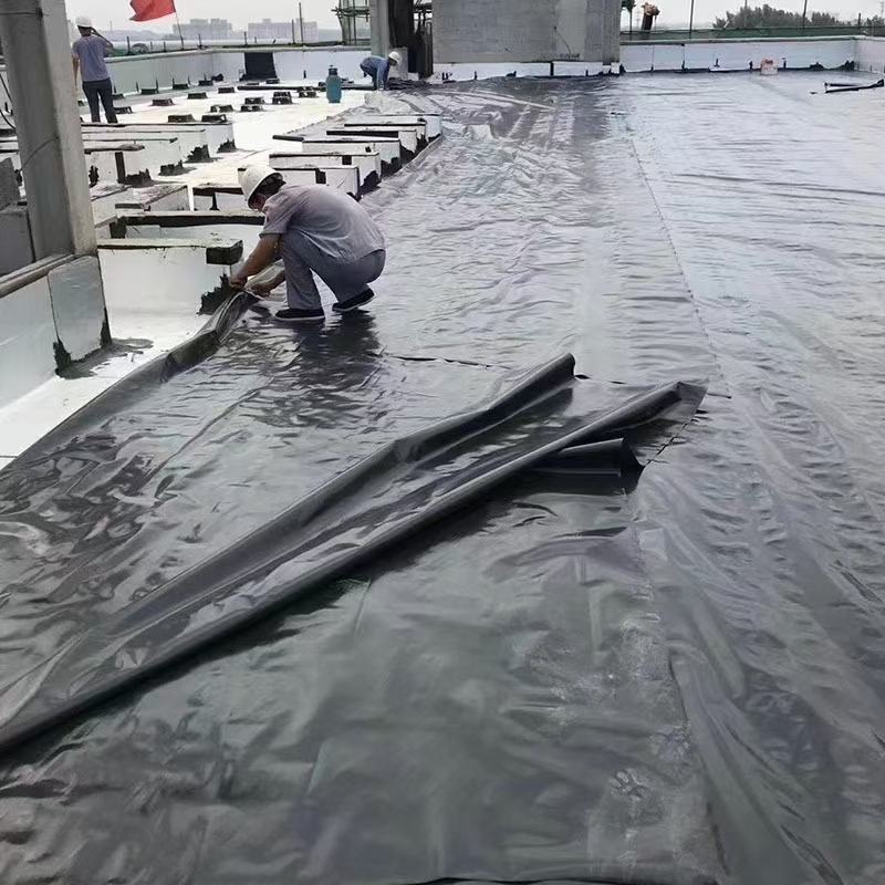 土工膜沼气池防渗膜鱼塘虾池藕池防漏水膜