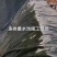 土工膜生产厂家黑薄膜土工膜蓄水池鱼塘藕池虾池防渗防水膜
