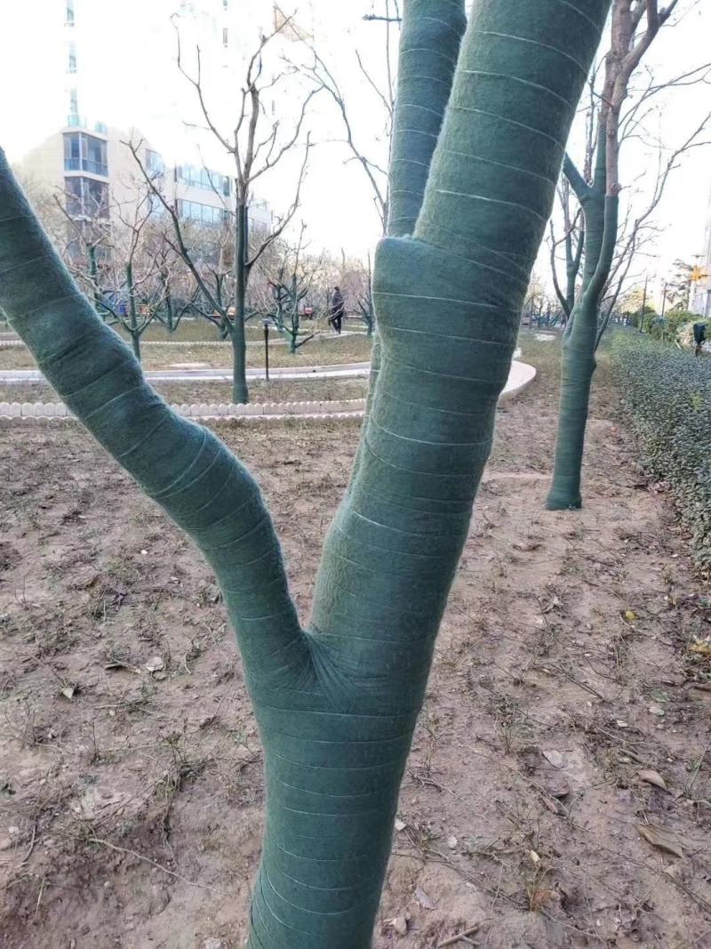 裹树布厂家供应绿化保温布大树保温棉树木保温棉缠树包树布园