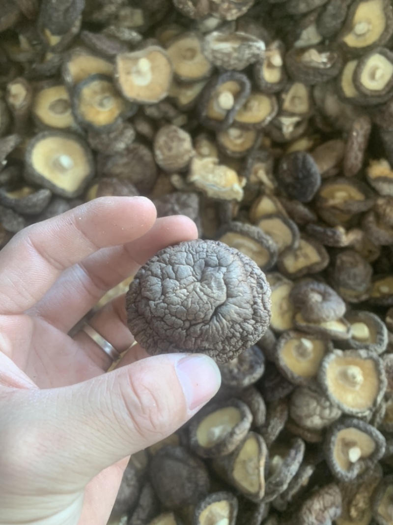 2021秋季新货香菇干货颜色好肉厚干香菇产地直供批发价位